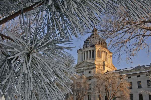 Capitol building in pierre framed with frosted foliage