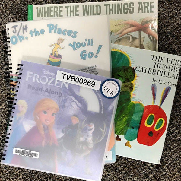 twin vision books including frozen, Where the wild things are, the very hungry caterpillar, and dr seuss's oh the places you'll go