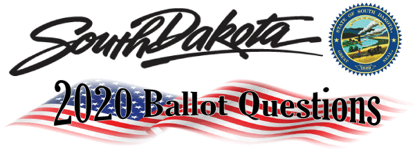 South Dakota 2020 Ballot Questions including American flag and State Seal