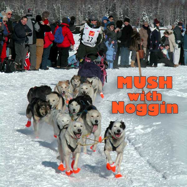 sled dogs mush with noggin