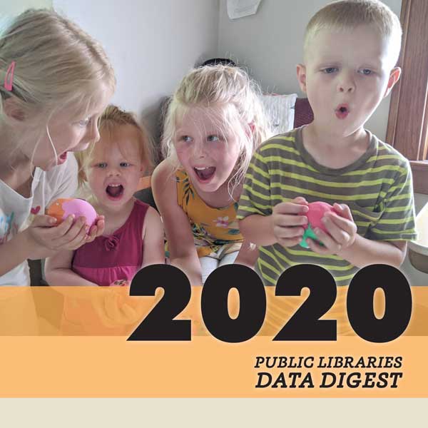 DATA DIGEST 2020 Public library cover