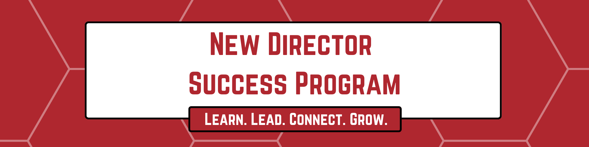 The New Director Success Program. Link.